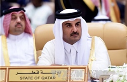 Quốc vương Qatar tố Saudi Arabia và đồng minh muốn &#39;thay đổi chế độ&#39;